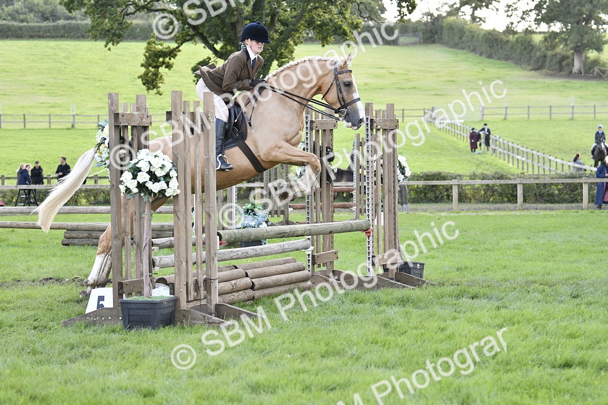 SBM_49953 - S34 - Novice & Newcomers Working Hunter