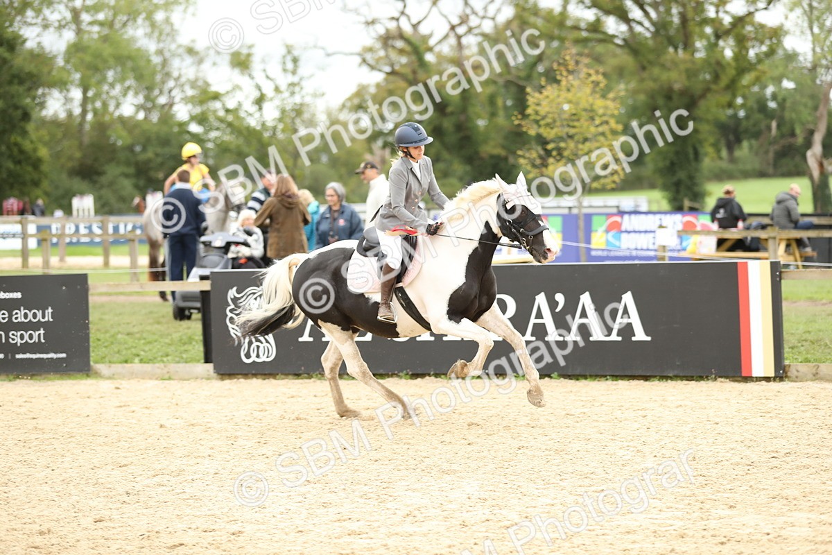 SBM_63210 - Supreme championship 75cm 80cm