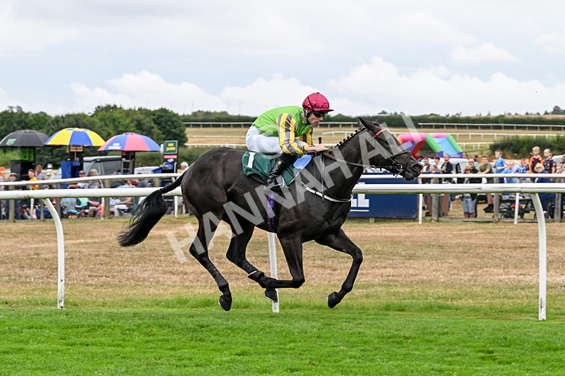 170826-Race 4-Star Noir-9605 - Race 4 15.45pm Constant Security Services Novice Stakes