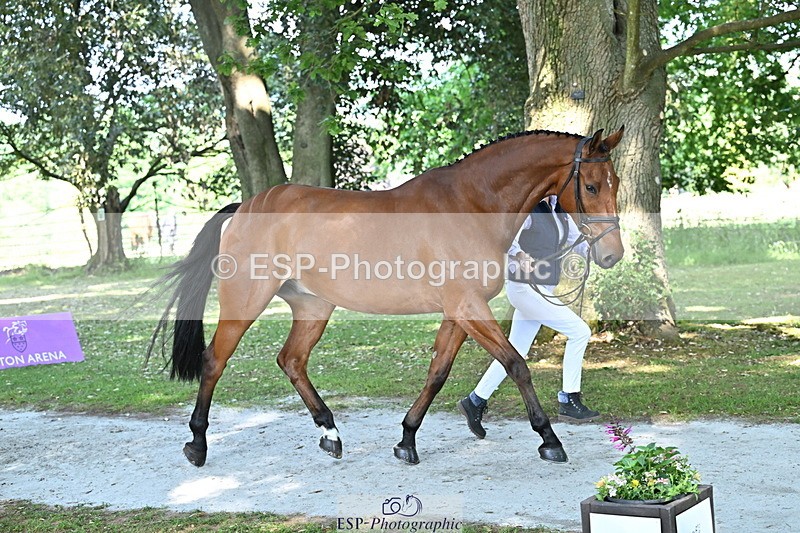 250521A-161942-01062 - C-267-Jeanette.Brakewell-PRIMIRO