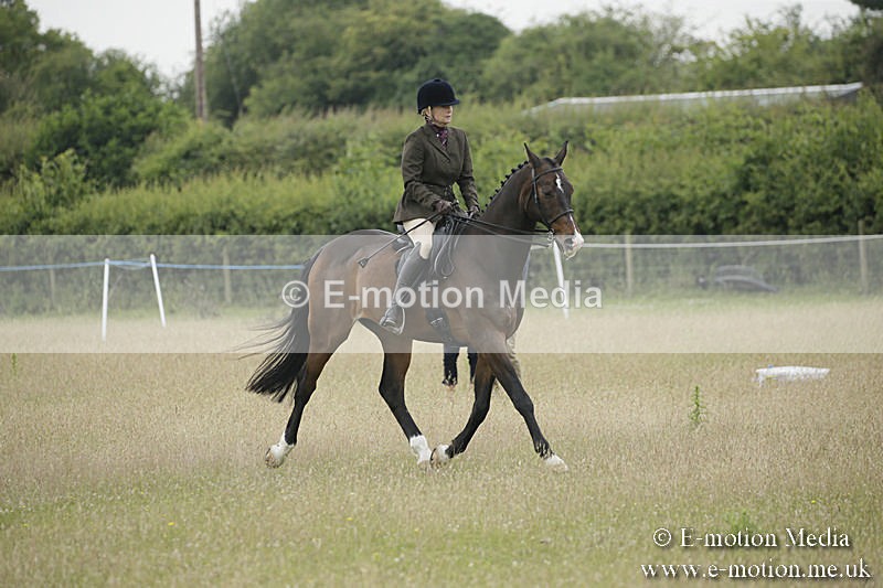 B230619-0331 - Bourne Valley Riding Club Summer Show 23/06/19