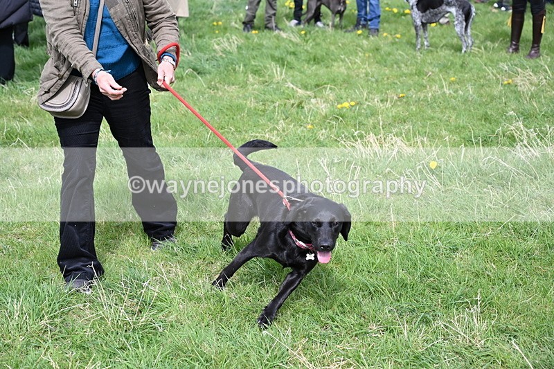 WJ6_8337 - Class 4 Prettiest Bitch