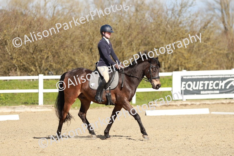 20260314-4323 - DR4 - Prelim 2