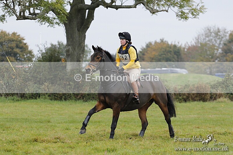 WWHT 181020 WWHT 181020 602 - WWEC Open Novice (0.80m) 18/10/20