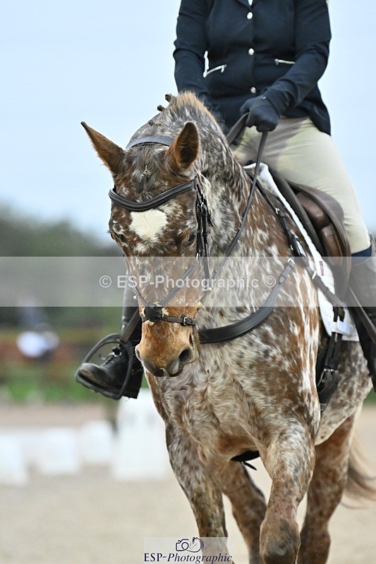 241103-155740-03283 - Novice 1 - 14.44 to 16.08