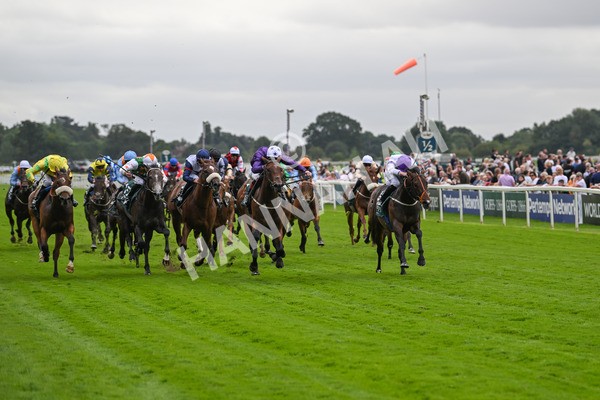 220824-Race 2-Diligently-6808 - Race 2 2.25pm Harry's Half Million By Goffs Premier Yearling Stakes