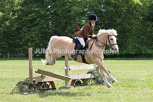 IMG_4269 - Working Hunter