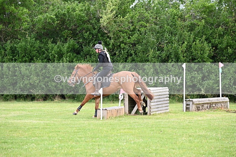 WJ6_2198 - Class 2 40cm