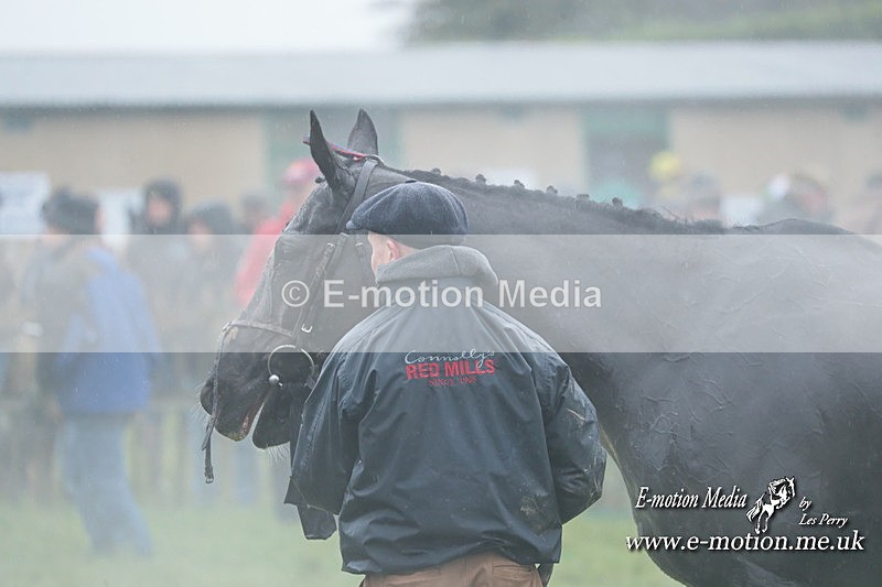 PtP 031223 278 - Wheatland Hunt PtP Chaddesley Races 03/12/23