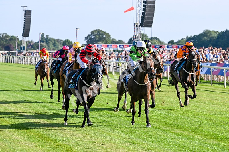 240726-Race 2-Vaguely Royal-5101 - Race 2 18.05pm Elevator Company Handicap