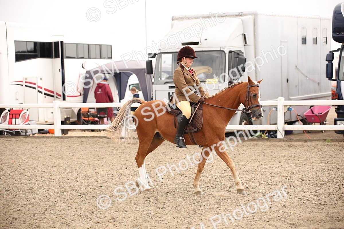 SBM_12629 - Class 405b - M&M Working Veteran 50cm 20+