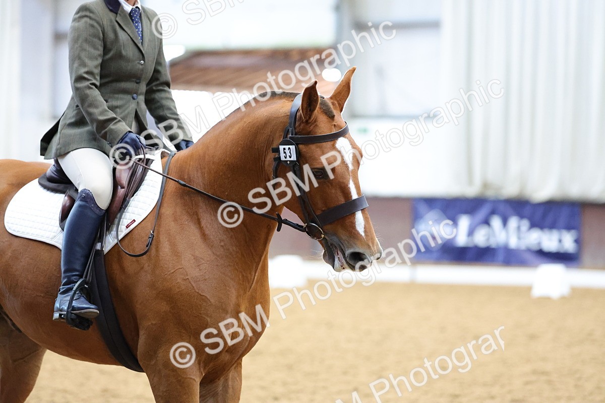 SBM_001934 - Class 5 - Novice 3