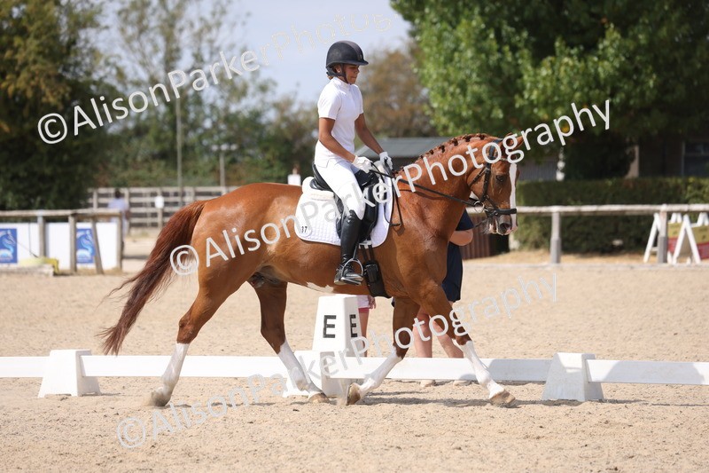 20260815-0987 - Class 5 - Novice 1