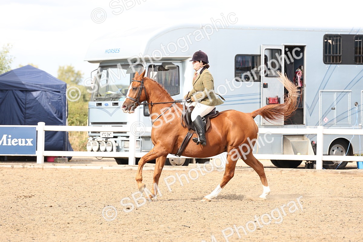 SBM_07444 - Class 59a -  Style & Performance - 80cm (15-19)