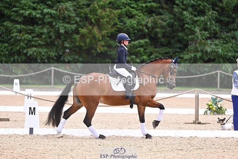 240809-131726-01054 - Preliminary Silver