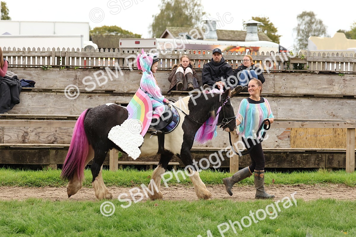 SBM_62146 - S37b - Best Unicorn