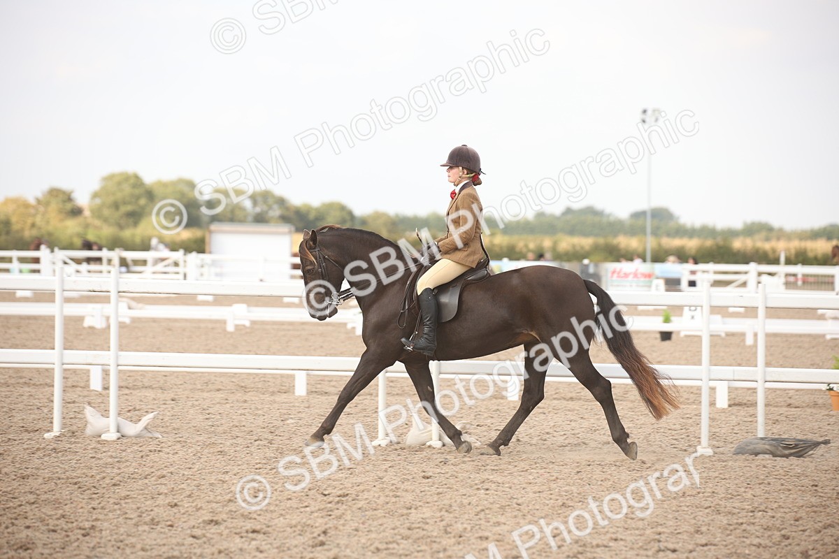 SBM_08783 - Class 12R Regional Ridden Pre-Vet