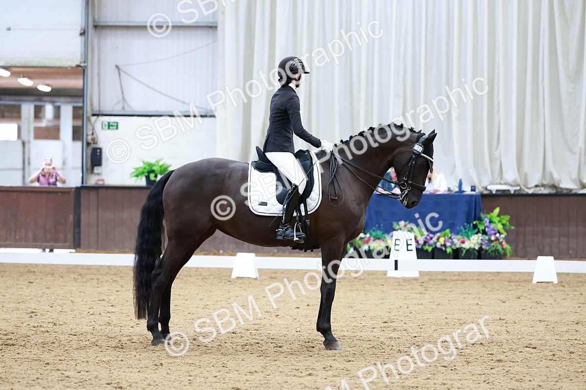 SBM_017771 - Class 15 - FEI Junior