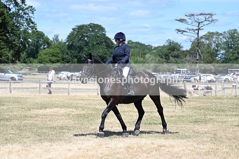 WJ7_2927 - Class 7 Riding Club Show Horse