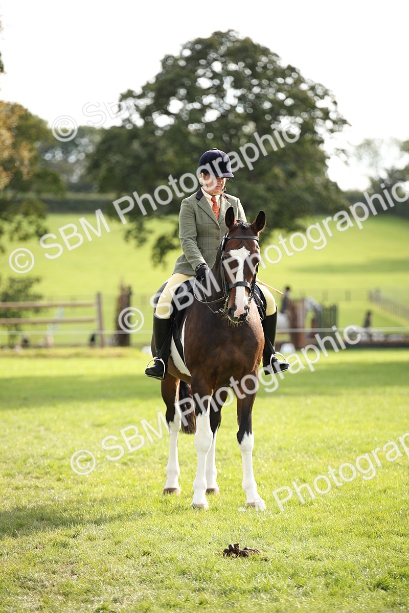 SBM_50170 - S26 - Young Veteran - Ridden