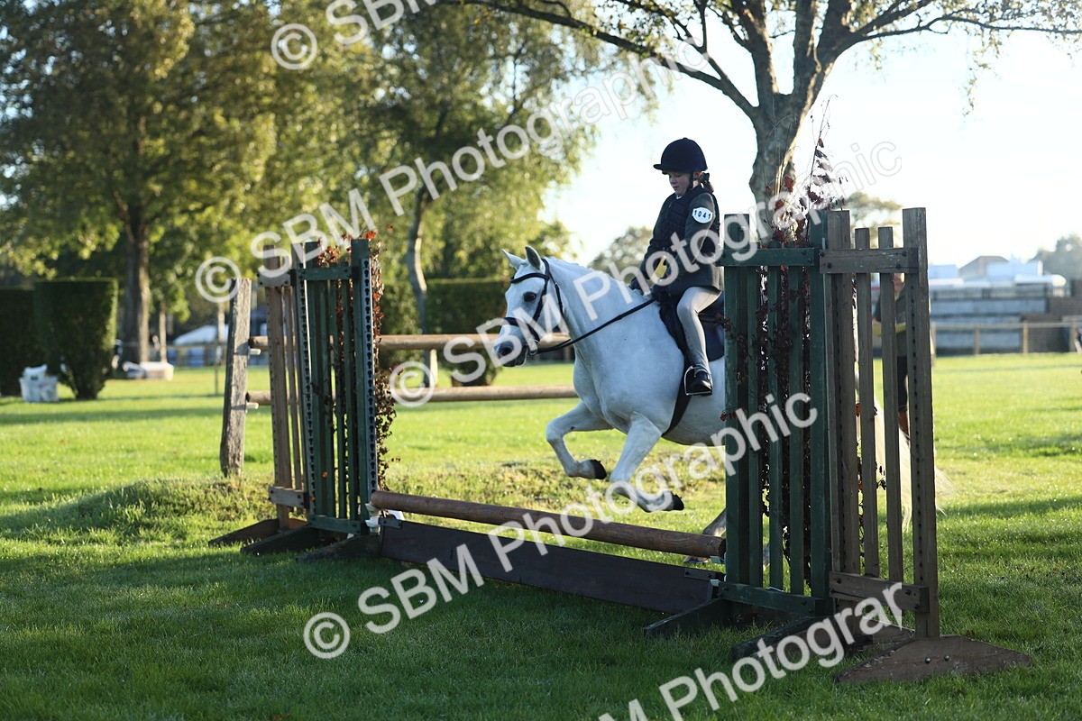SBM_31702 - S28 - Nursery Stakes Working Hunter Pony