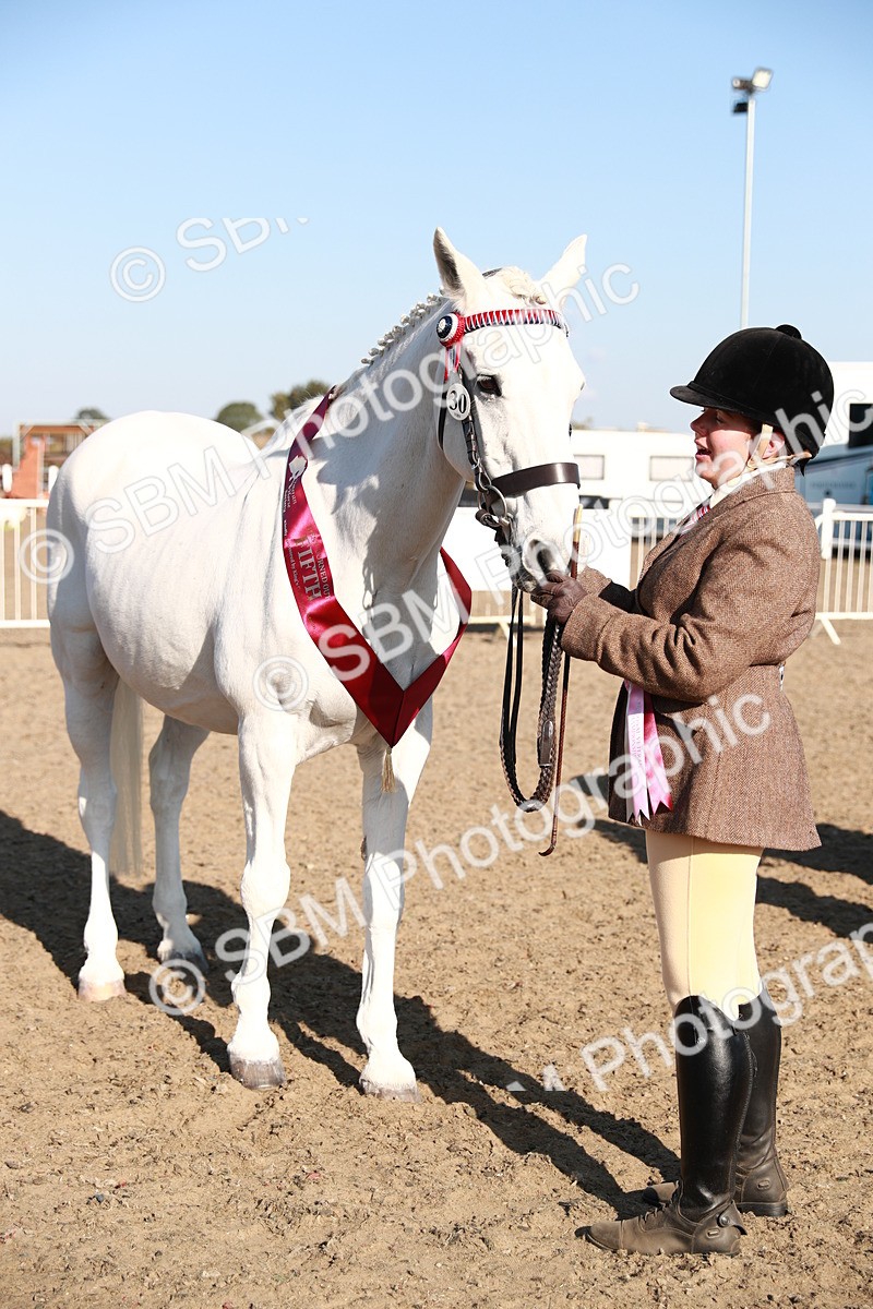 SBM_00135 - Class 40 Best Turned Out IH