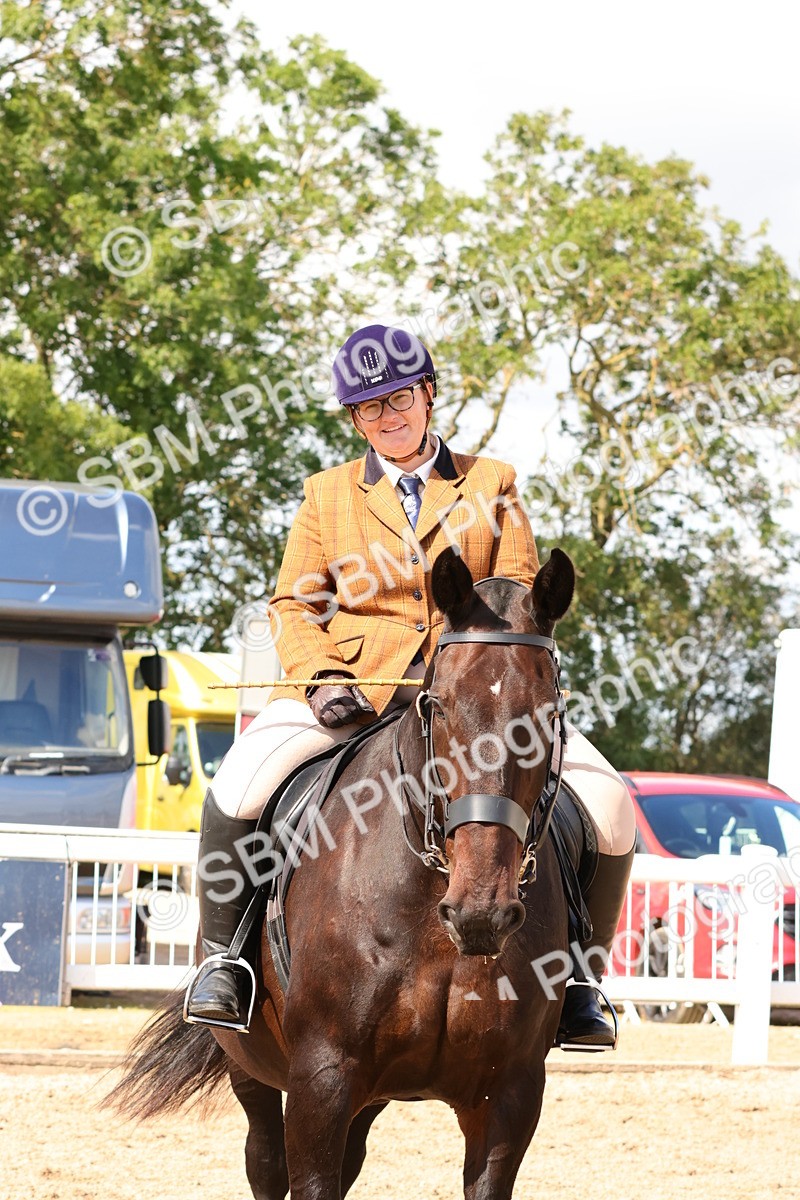SBM_13526 - Class 212 - Ridden Hunter  - Large