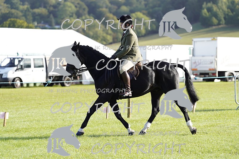 _DSC9369 - Class 8 & 17 Ridden Hunter & Ridden Hunter Pony