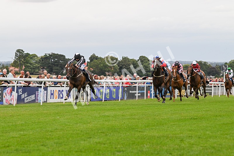 150824-Race 5-Pons Aelius-8289 - Race 5