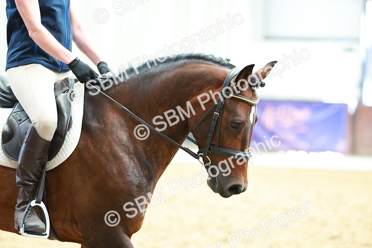 SBM_011111 - Prelim 5 - 11.38-12.48