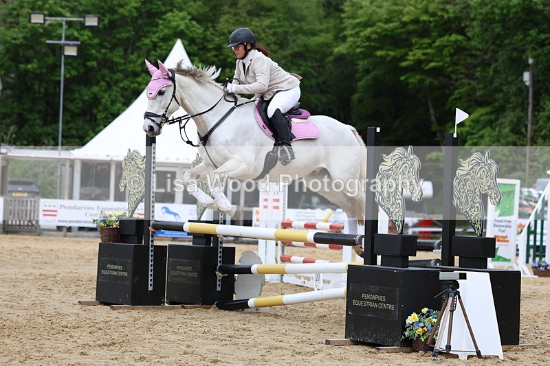 3E7A6281 - Class 4: Senior British Novice/90cm open
