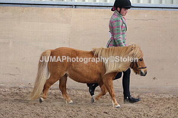 SIAL9496 - Indoor Classes