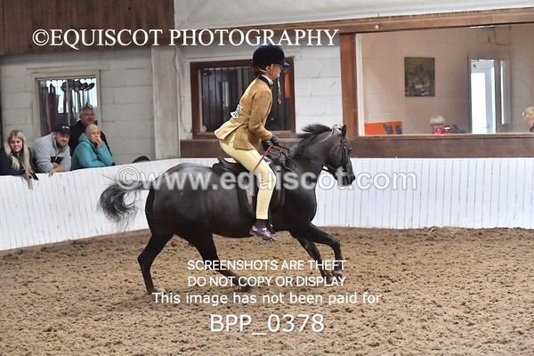 BPP_0378 - RING 1