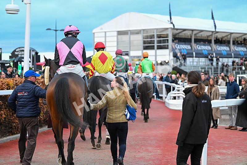 171124-Race 5-GVs-4349 - Race 5