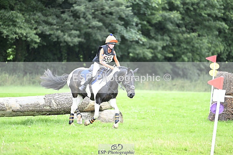 240804-144426-15440 - 555-Jack_Wish-WESTERLAKE_BUTTONWEED