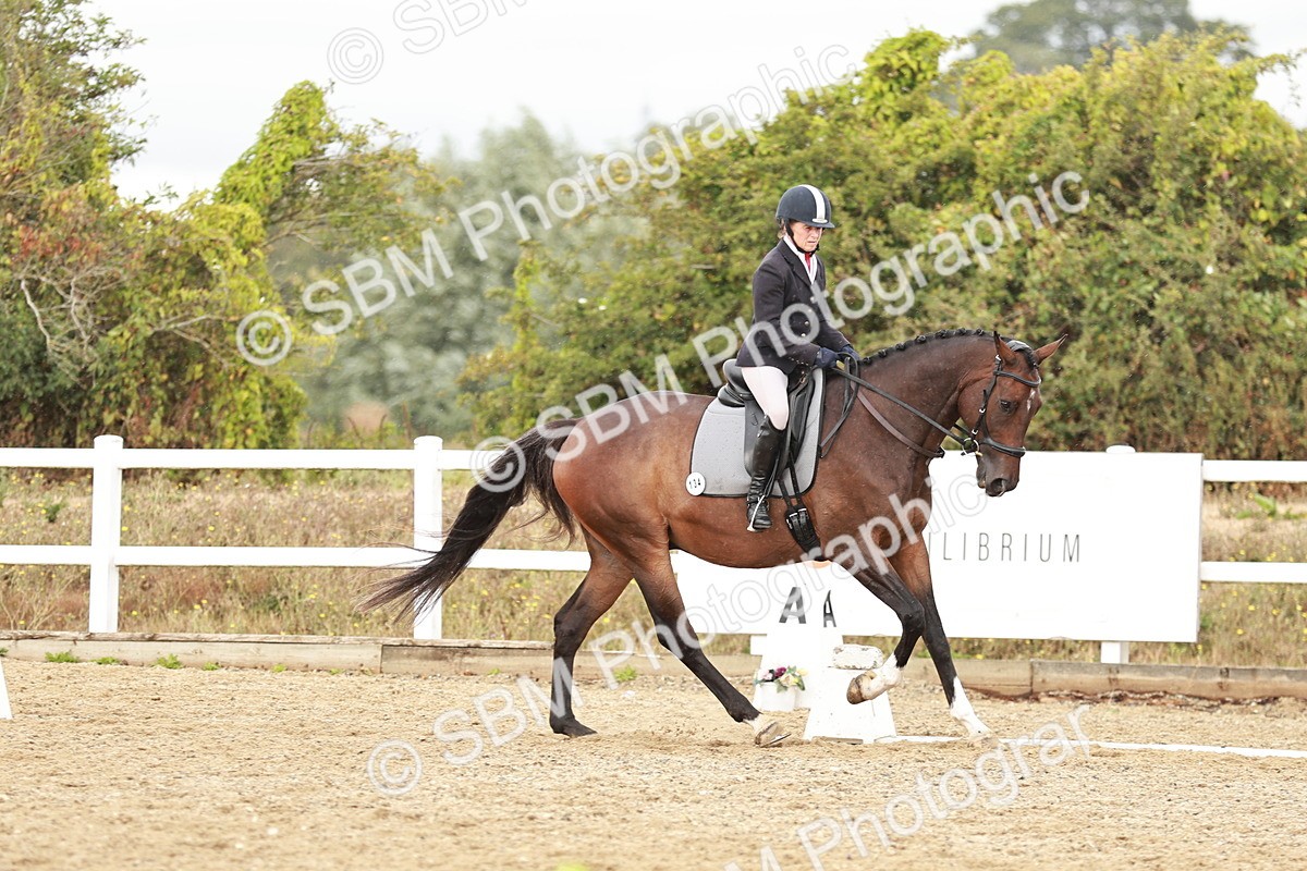 SBM_003687