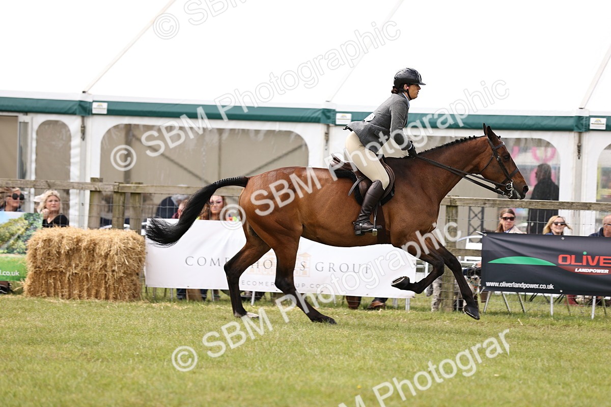 SBM_14689 - Class 88-89 - LIHS BSHA Rising Star of Ridden Hunter Type