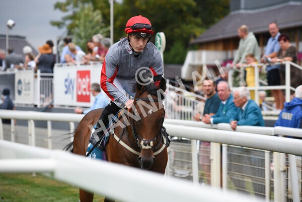yr04092022r1-16 - Race 1 1.45pm IRE Incentive, It Pays To Buy Irish EBF Novice Stakes