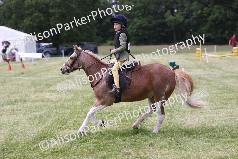 20260614-2049 - Class 21 - Novice Working Hunter Pony