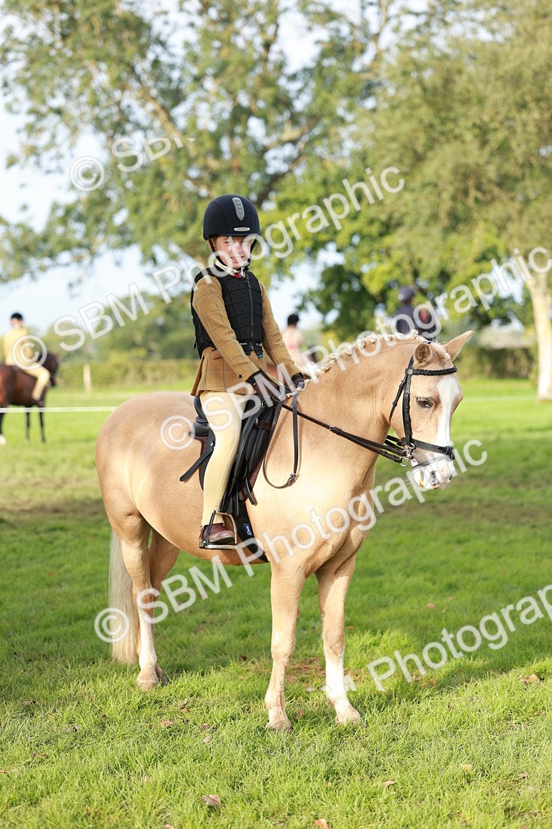 SBM_56415 - S39 - Starters In Hand Showing