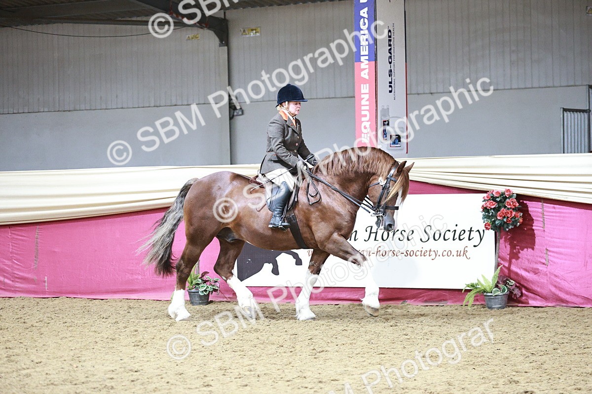 SBM_08765 - Class 12R - Regional Ridden Pre-Vet