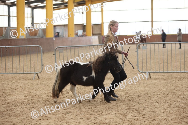 20251109-0198 - Class 10 - Yearling, Colt, Filly or Gelding