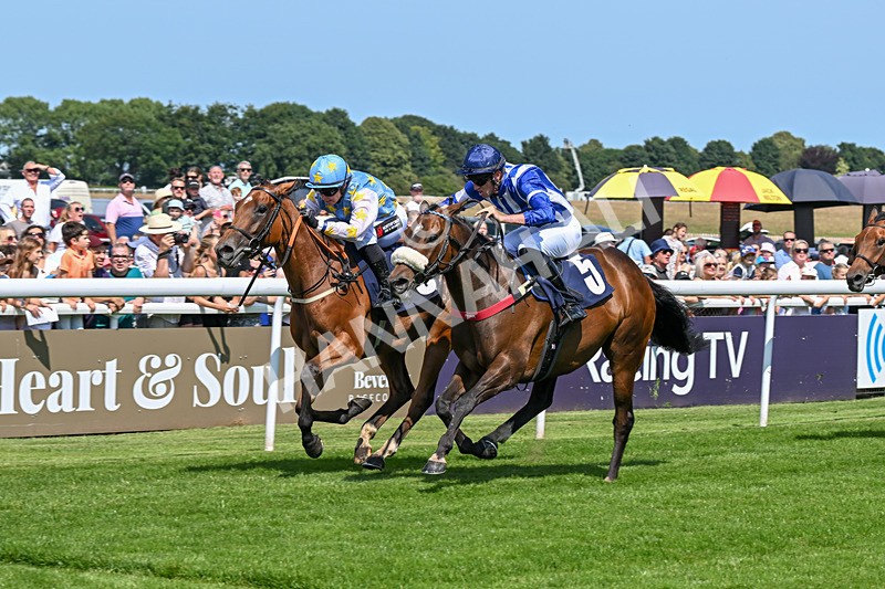 300724-Race 1-Love Yours-8928 - Race 1