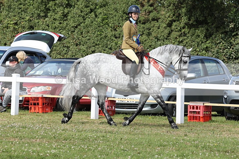 JPP_1046 - Best Rider Championship