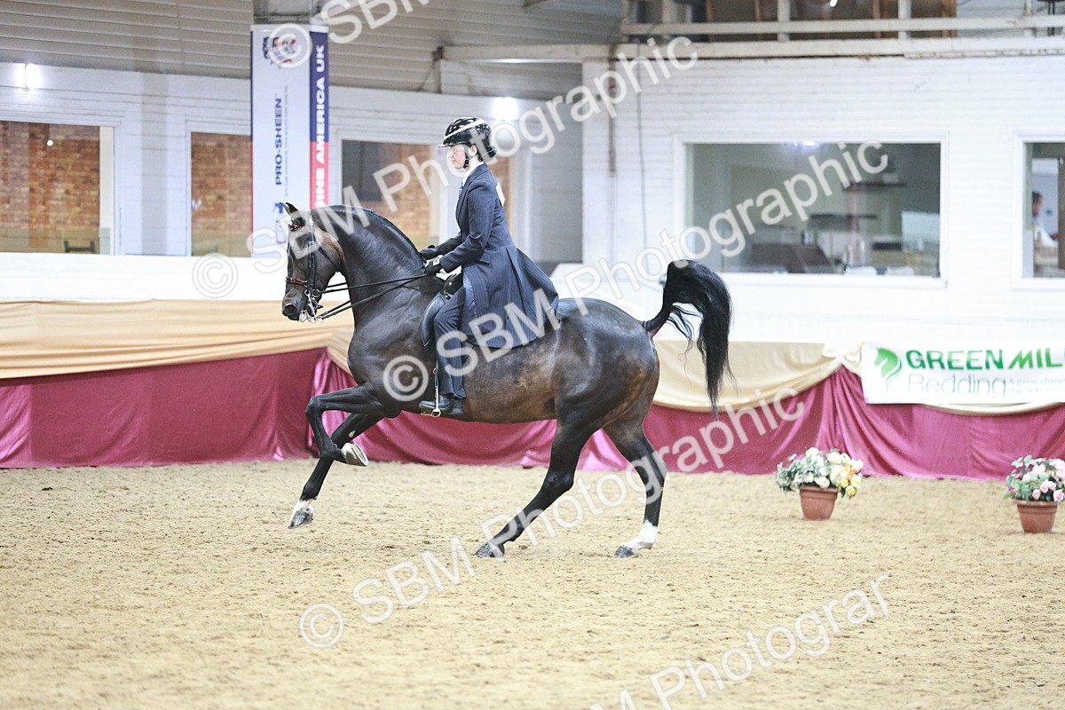 SBM_09080 - Class 12R - Regional Ridden Pre-Vet