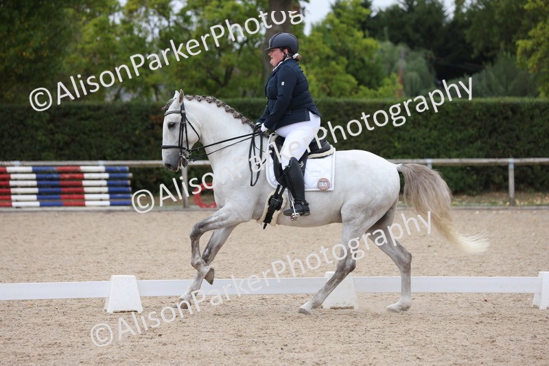 20250820-1056 - Class 17 - Elementary 4