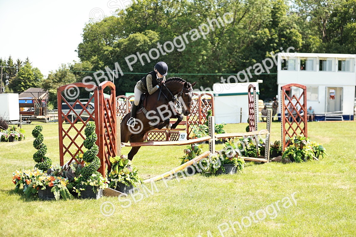SBM_17581 - Class 112-113 - BSPS LIHS Working Sports Pony