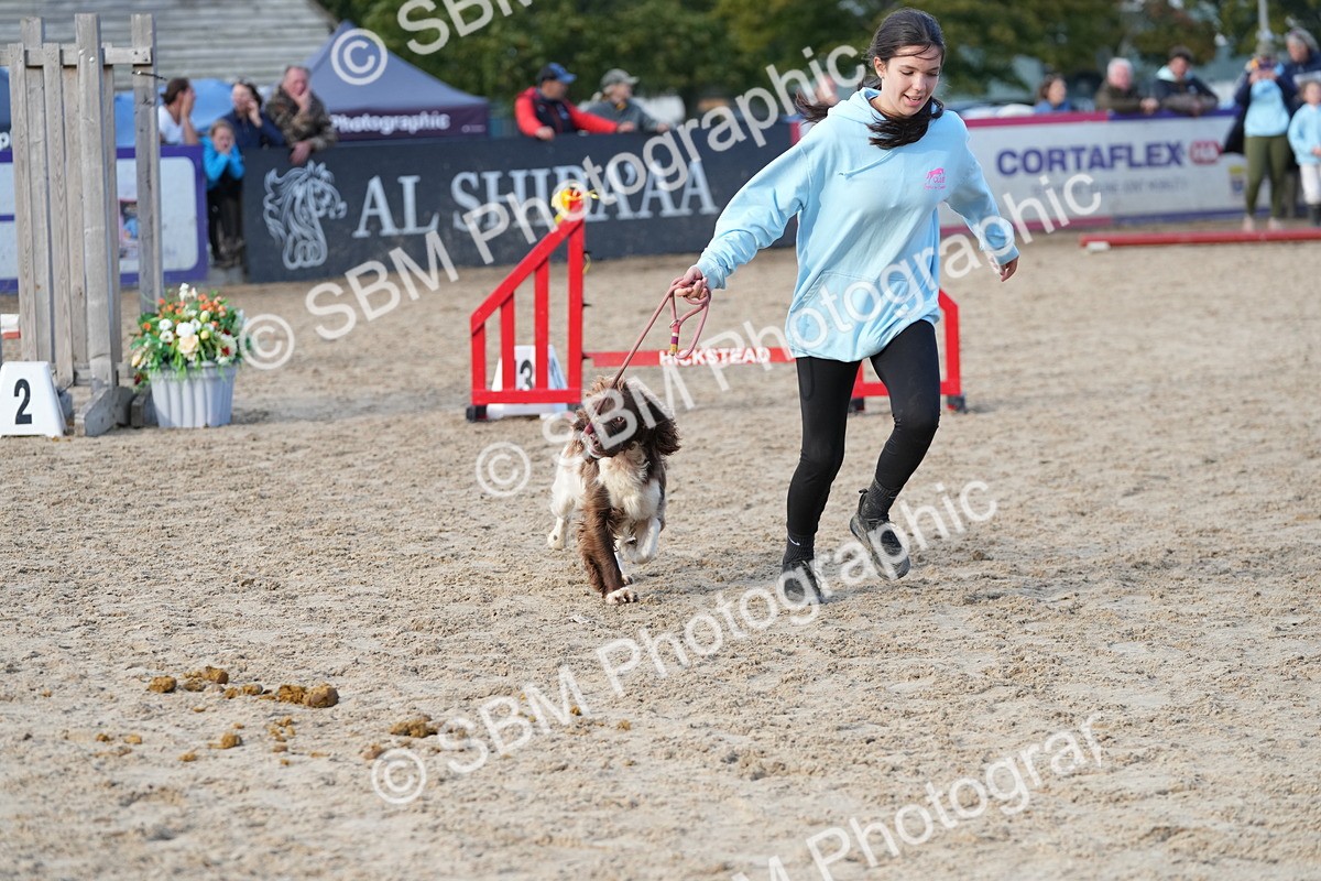 SBM_29162 - J43 - Horse & Hound Open 50cm