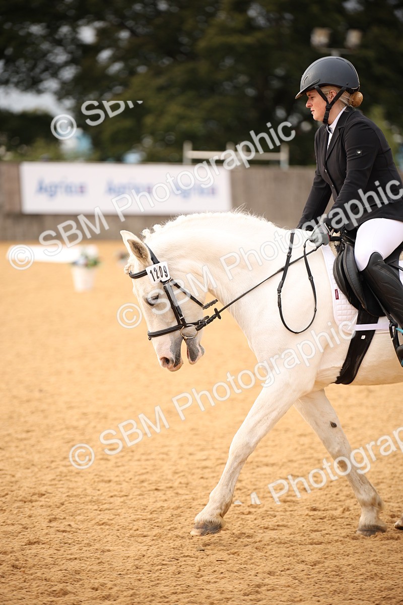 SBM_12309 - D3 Small  Tour Championship Intro A