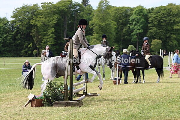 IMG_3228 - Working Hunter